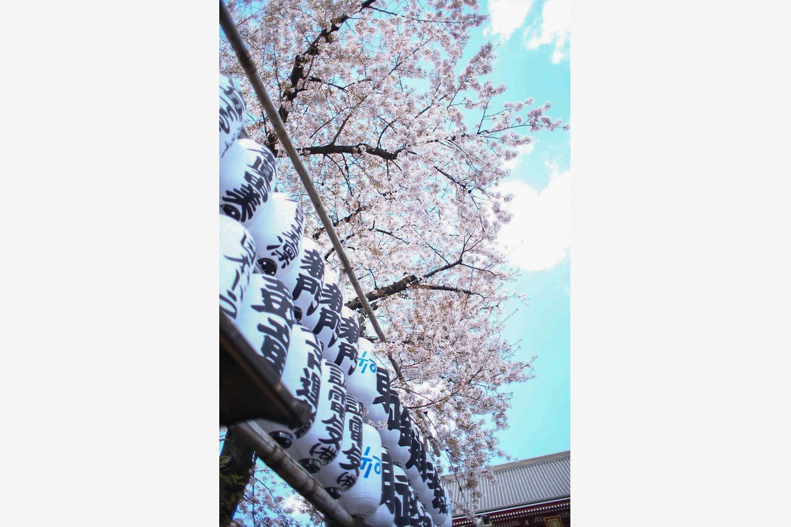 小林　幸之助が撮影した写真のアルバム「これまでの実績」