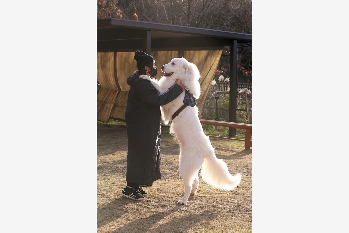 株式会社Photo Luckyが出張撮影した家族写真(キッズ,ベビーフォト)などが写った「ペット」の家族写真