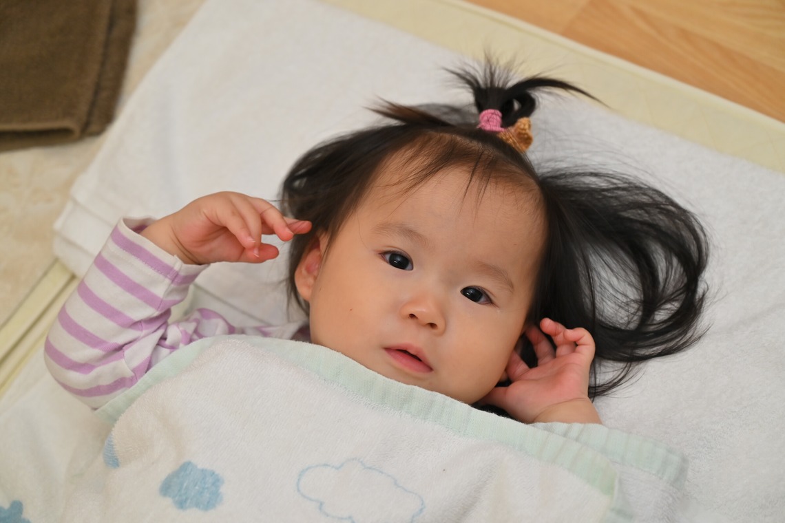 杉野優介が撮影した写真のアルバム「幼稚園撮影」