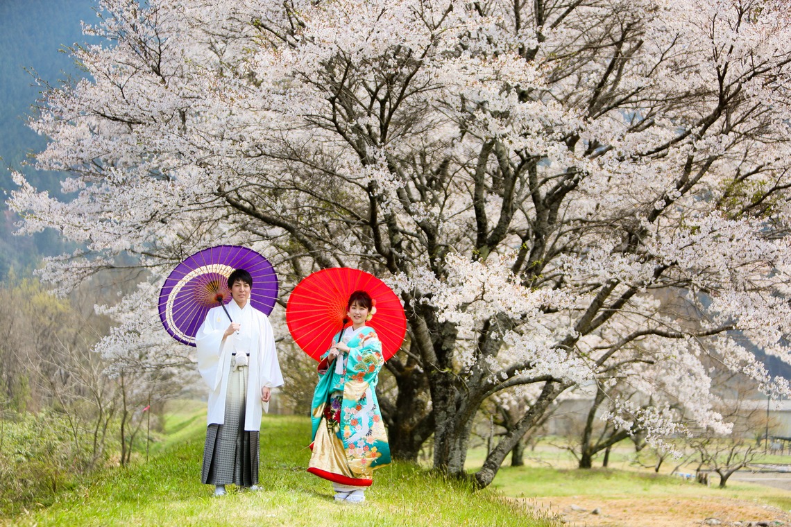 KIKIウェディングが撮影した写真のアルバム「平成最後の桜」