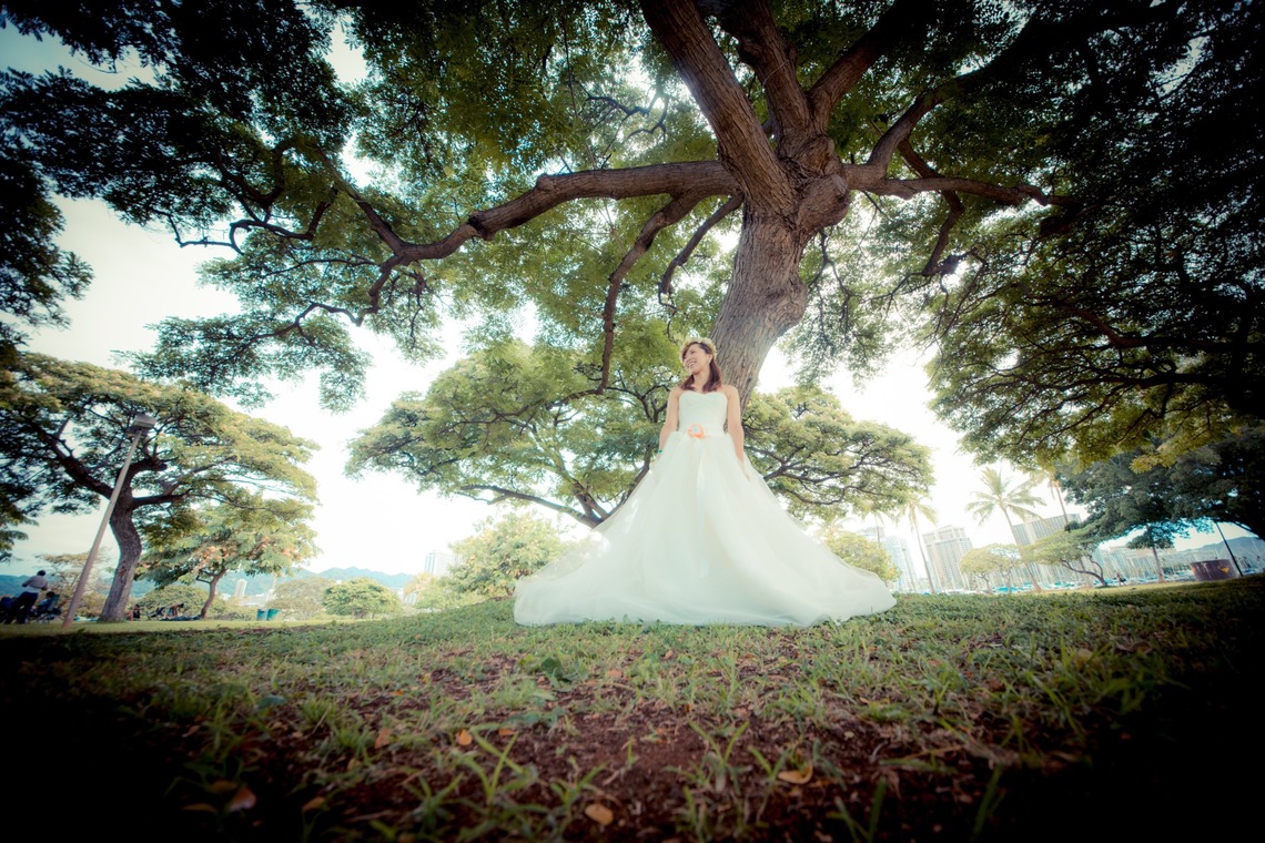 Jayson Tanega Photographyが撮影した「ホノルル　マジックアイランド」の写真