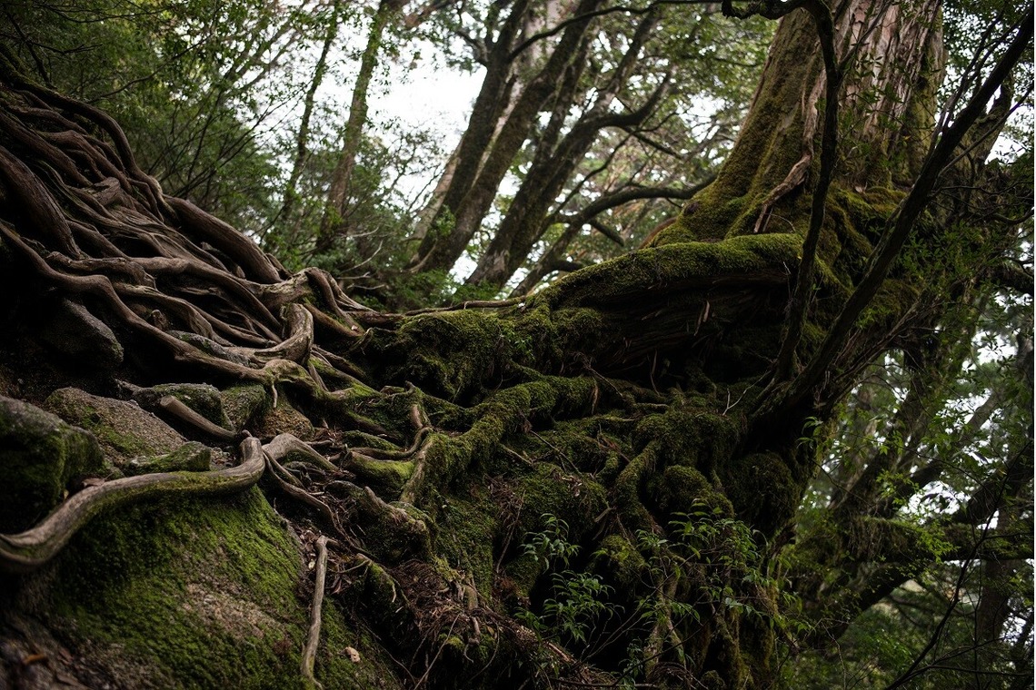 舘　典志が撮影した写真のアルバム「風景」
