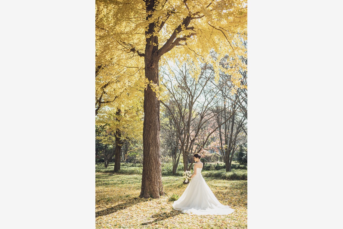 長濱崇が撮影した写真のアルバム「ラー・エ・ミクニ　レストランウェディング」