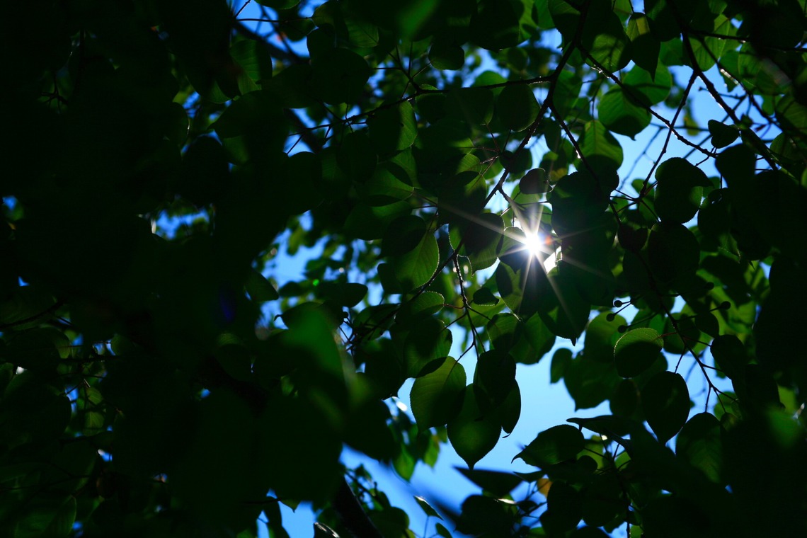 blink photoが撮影した「風景」の写真