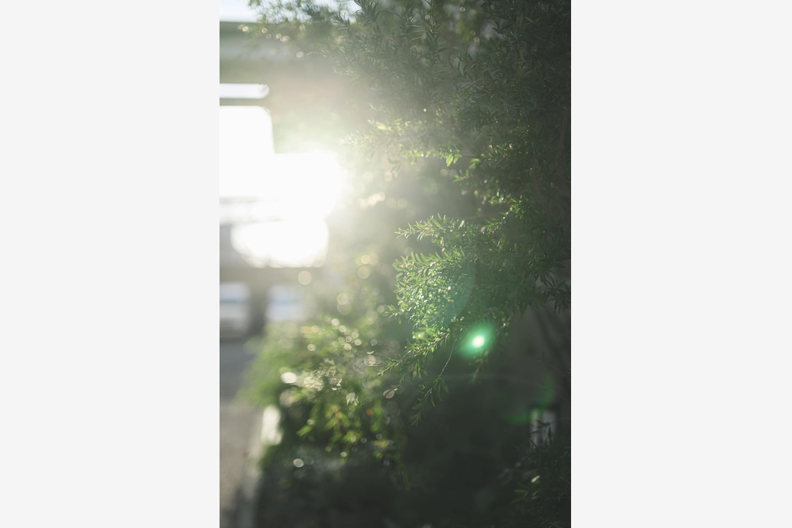 フジオカ　シュウヘイが撮影した「ウエディング撮影(朝〜挙式)」の写真