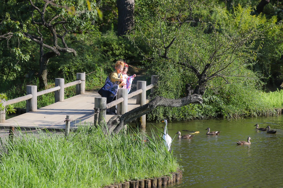 高橋 透（Coo&Sea STUDIO代表）が撮影した七五三フォトのアルバム「七五三フォト＠横浜」