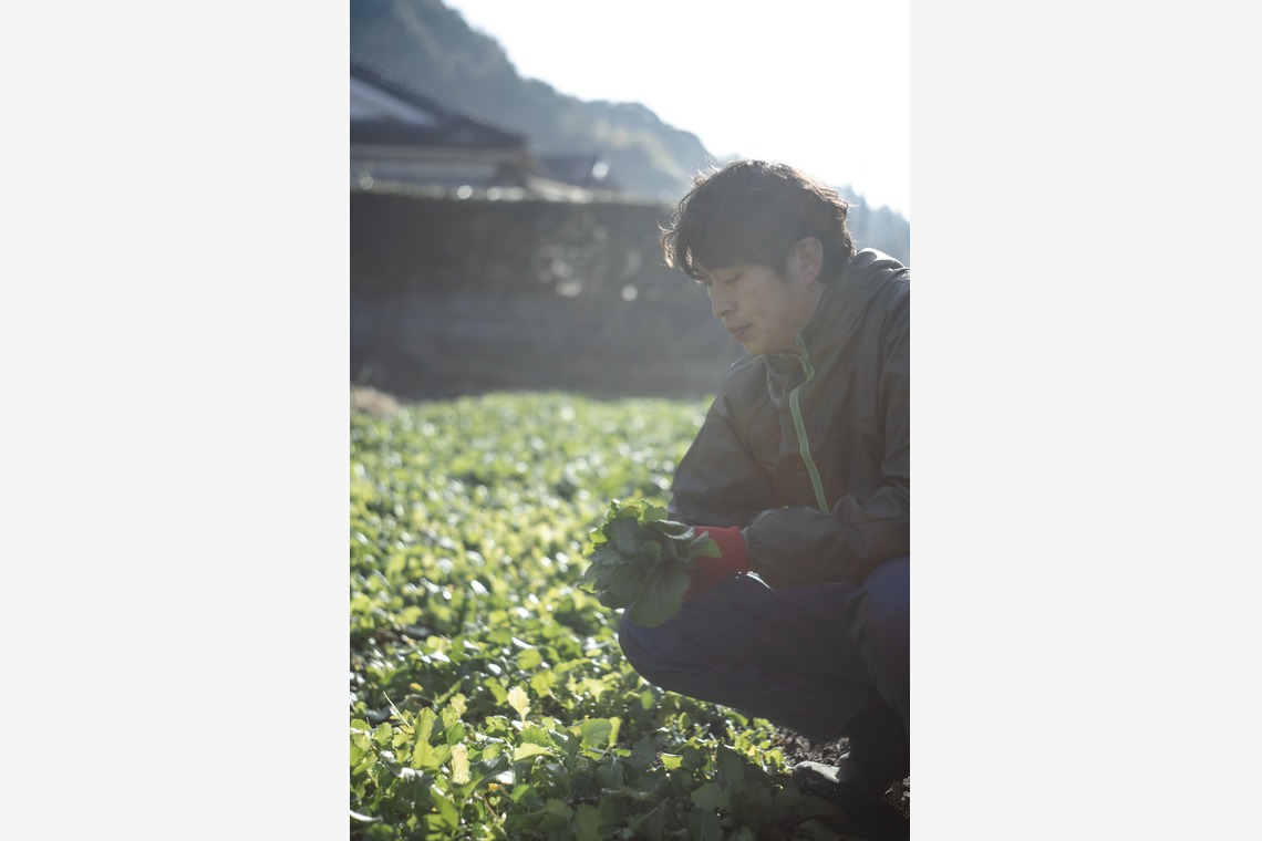 SHO HASEGAWAが撮影した「産地で働く（取材撮影）」の写真