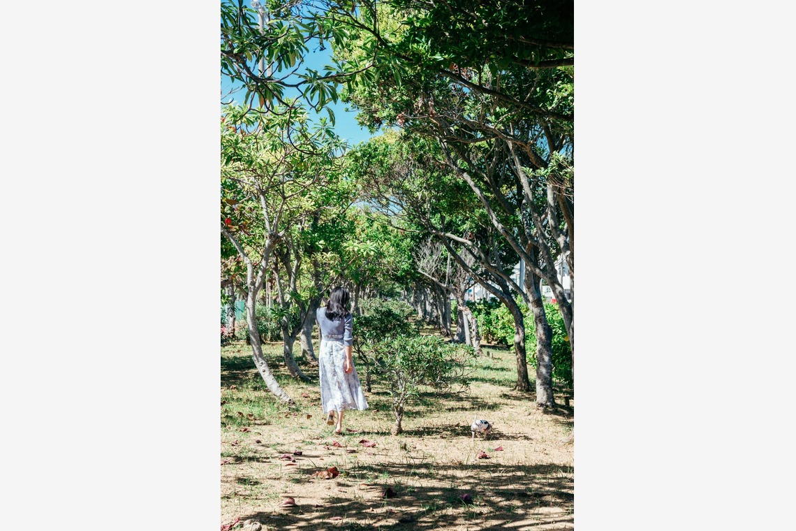 ポートレート沖縄が撮影した写真のアルバム「ペット撮影」