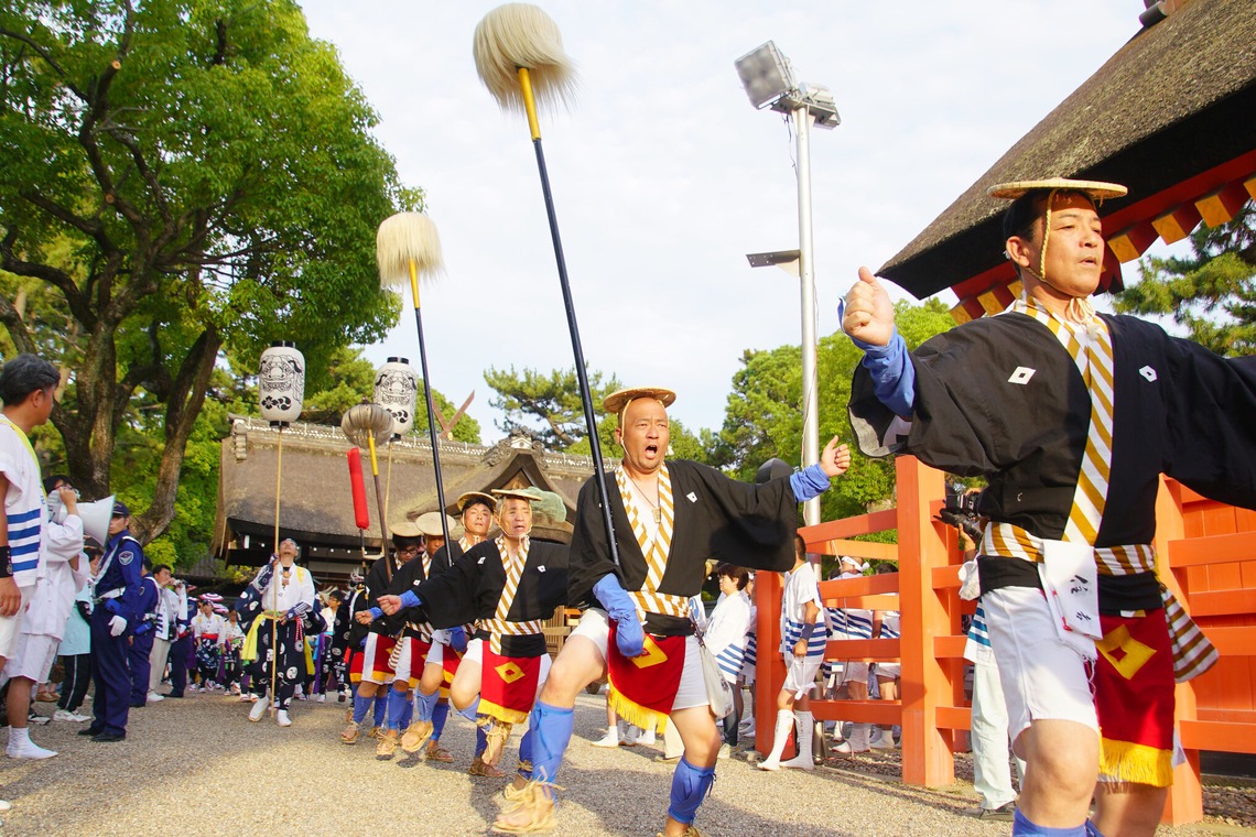 河野慈圓が撮影した写真のアルバム「イベント撮影　住吉大社御輿渡御」