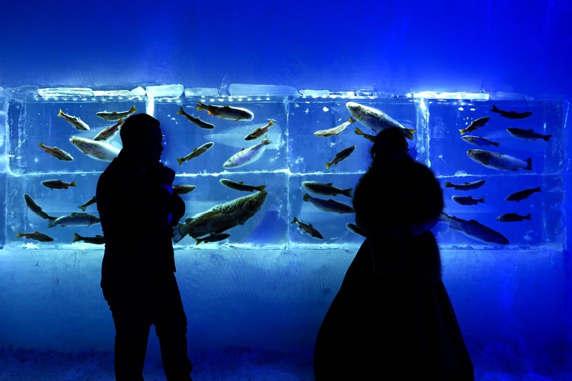 AMVER inc.が撮影した「ウエディングロケーション」の写真