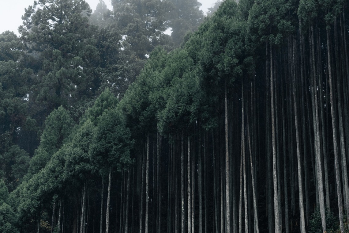 鈴木香那枝が撮影した「京都府中川町の取材撮影」の写真