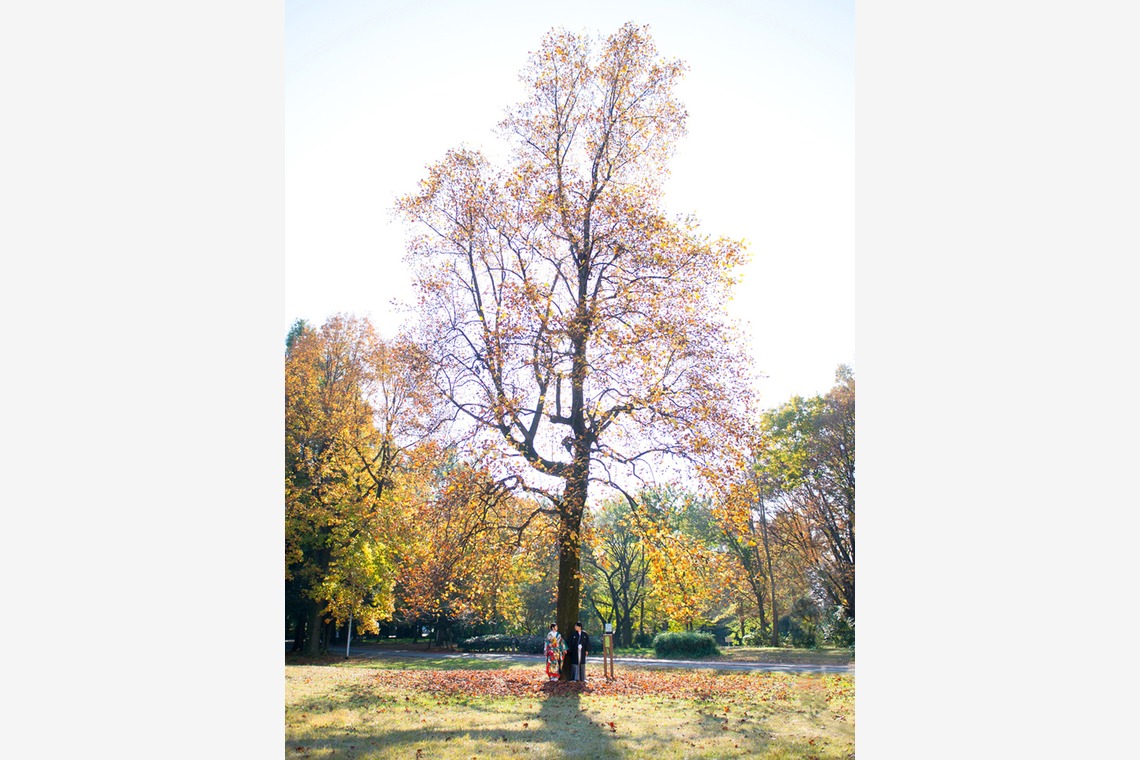 Bel eclat（ベルエクラ）が撮影した写真のアルバム「紅葉ロケーション」