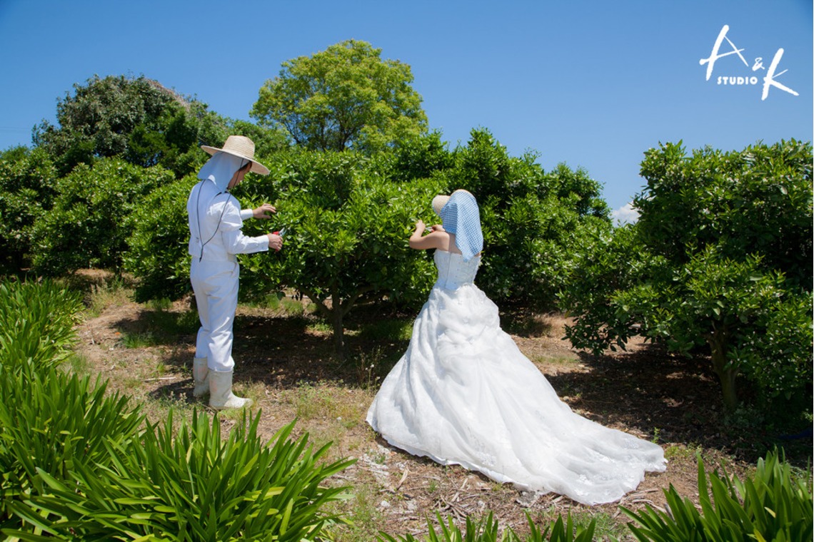 Photo of  taken by A&K STUDIO CO.,LTD.