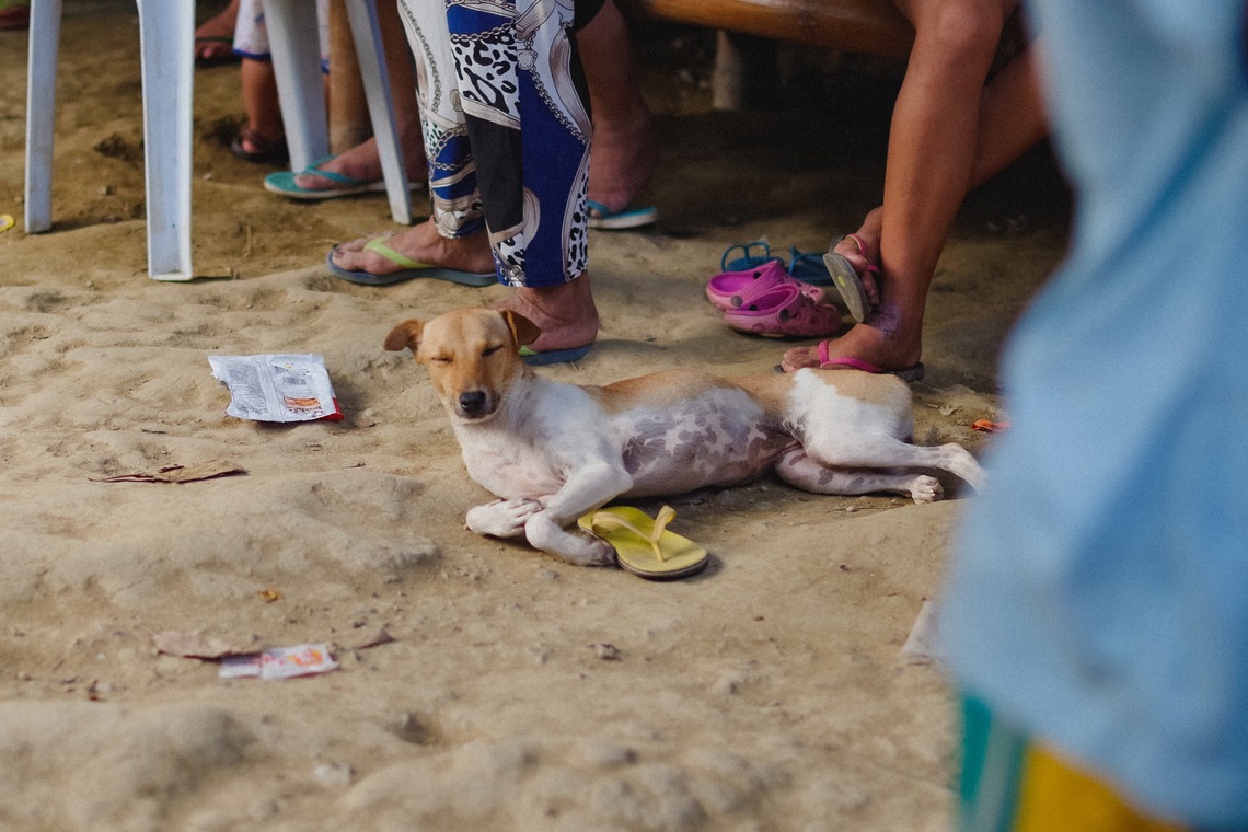 Katsuhiko Suzukiが撮影した写真のアルバム「Asia」