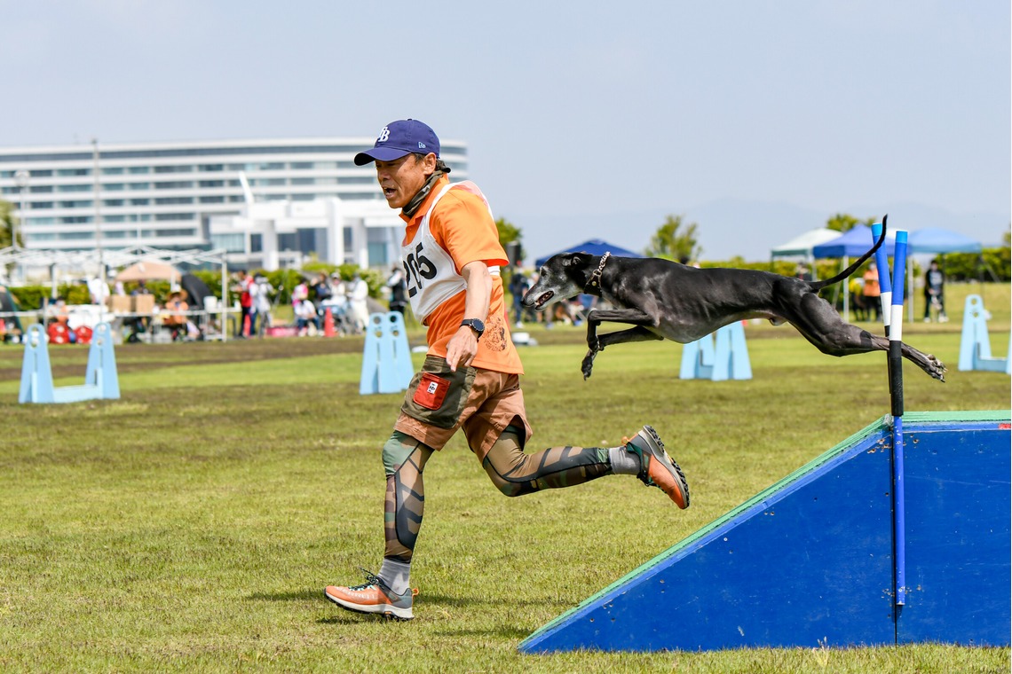 スタジオファンタスが撮影した「ドッグスポーツエクストリーム」の写真