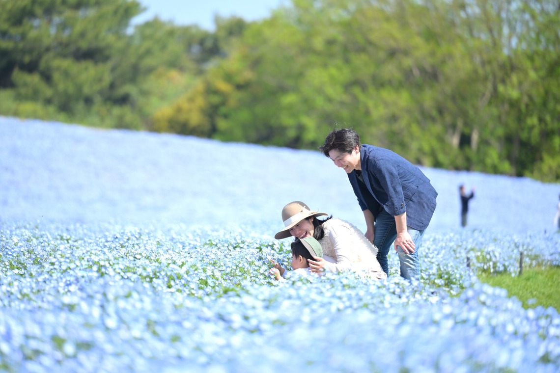 吉村　恵三が撮影した「ファミリーフォト」の写真