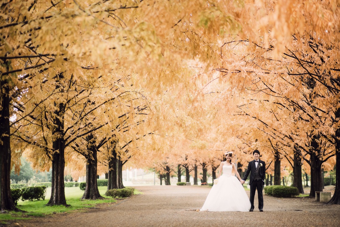 elle pupaが撮影した「滋賀」の写真