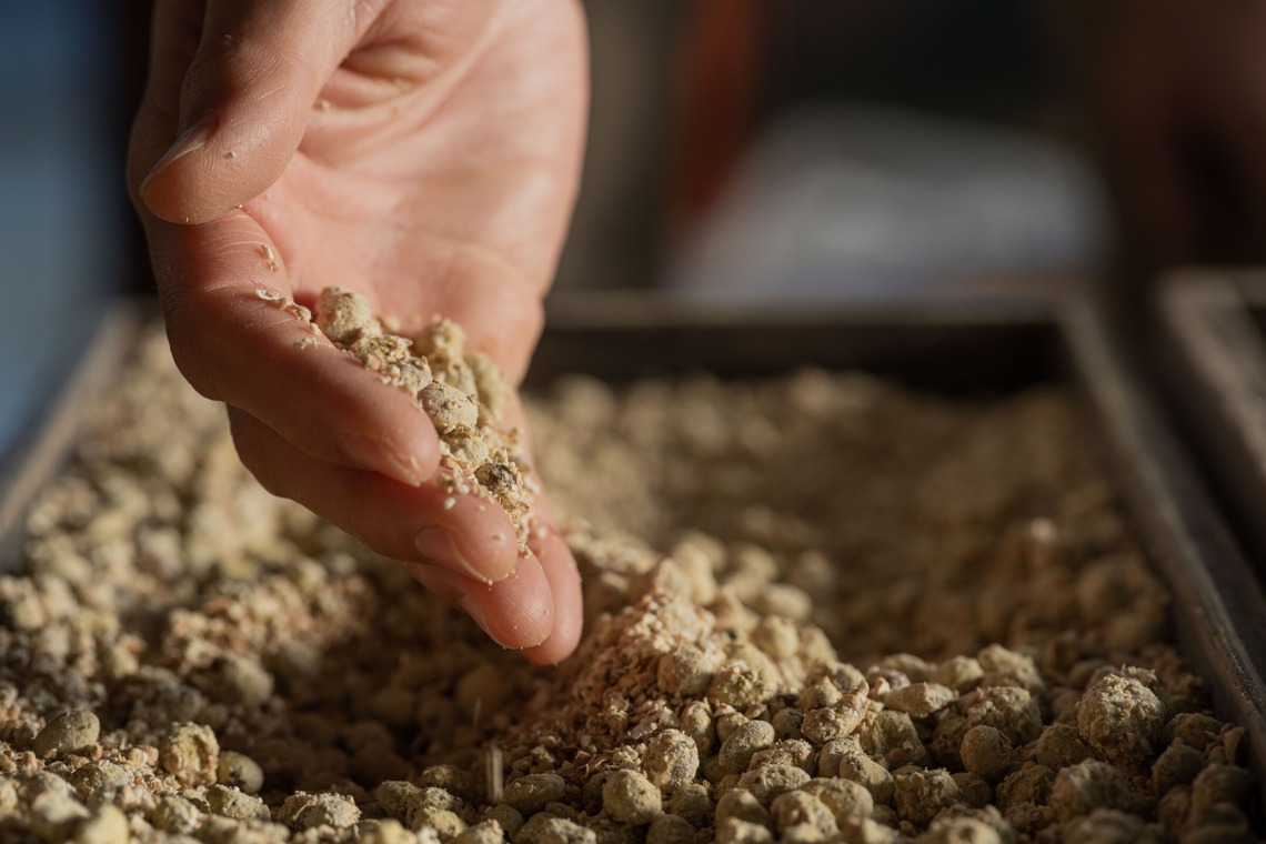 小田映像制作事務所が撮影した写真のアルバム「金芳醤油釀造元」