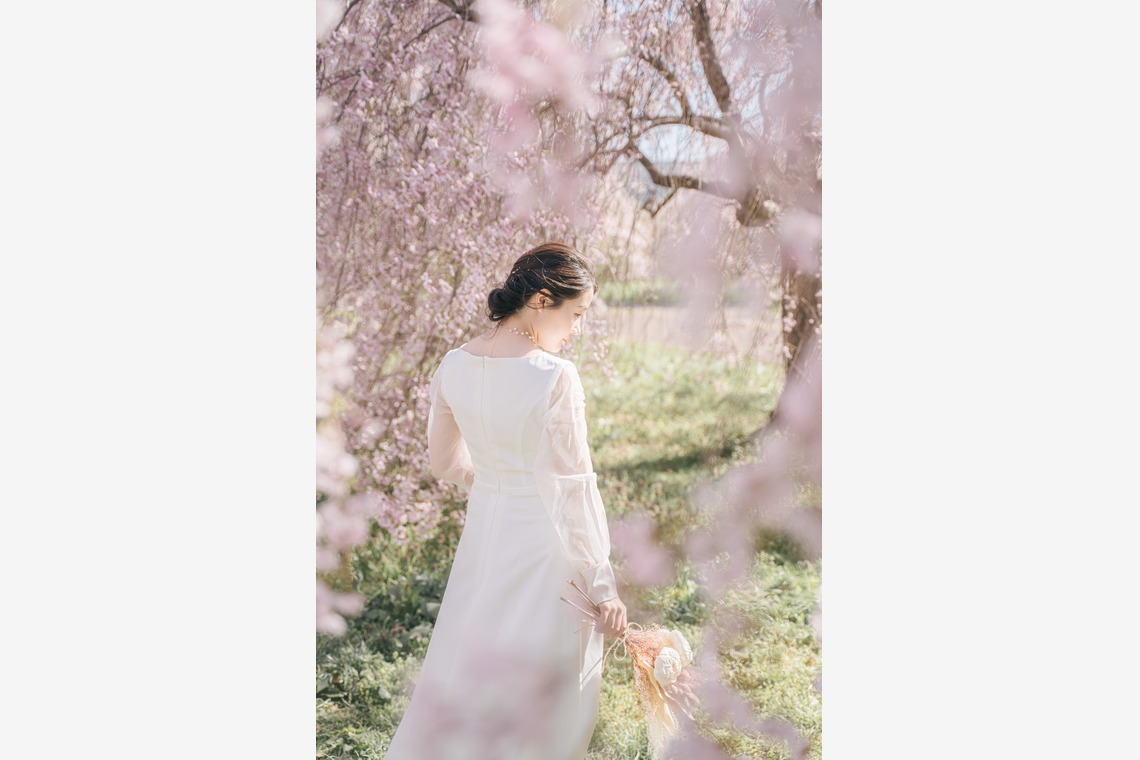 Photo of pre-spring photo taken by スタジオアルパルカ