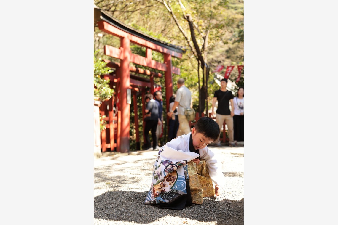 Photographer  Tomoが撮影した写真のアルバム「七五三」