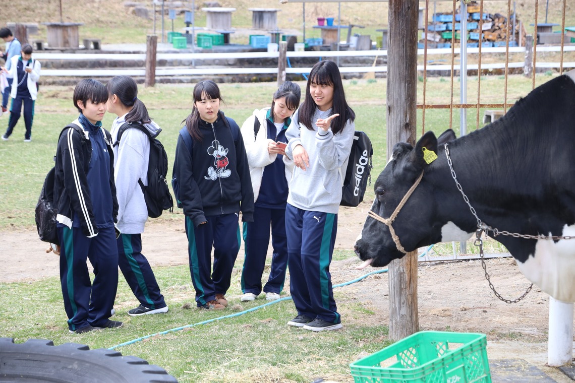 益永淳二写真事務所が撮影した「学校イベント」の写真