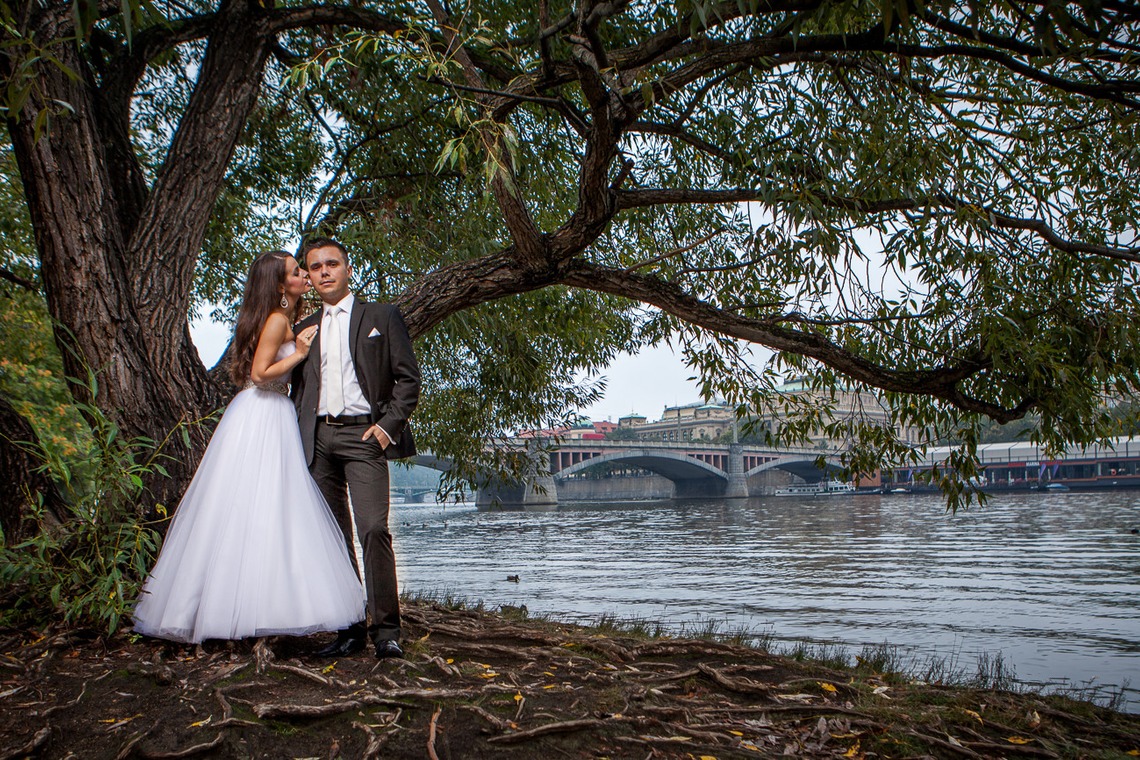 Wedding Photography Dubaiが撮影した「ドバイで???カメ」の写真