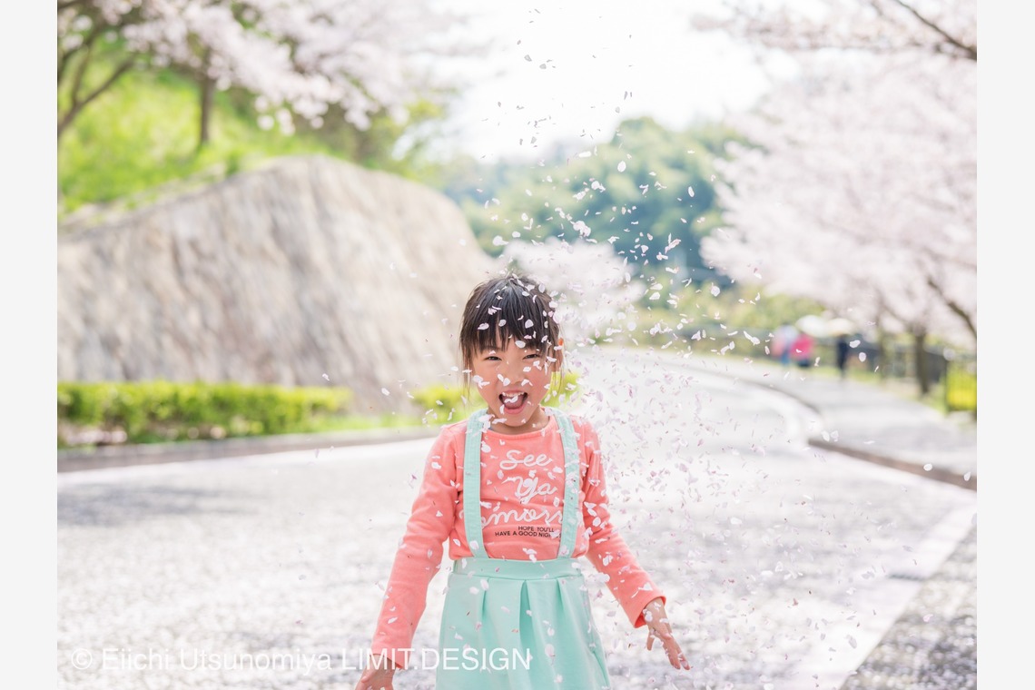 リミットデザイン