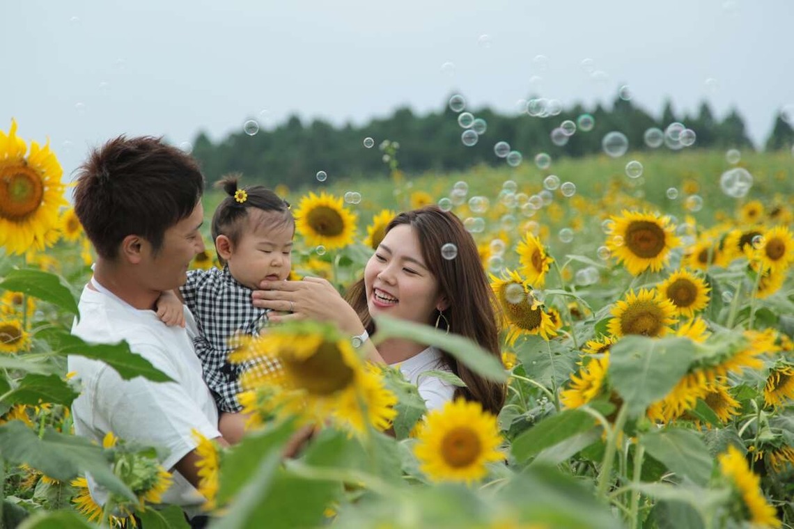 理 S PHOTOが撮影した「鼻高展望ひまわり畑」の写真