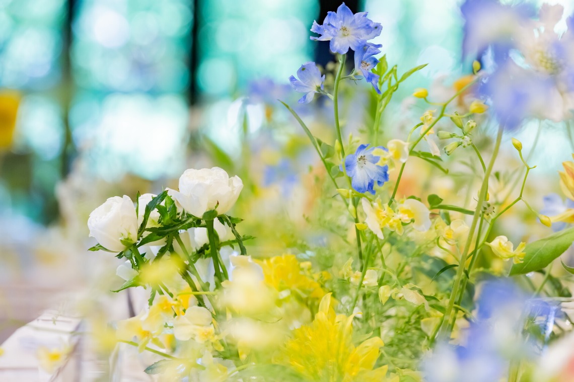 大橋　道裕が撮影した写真のアルバム「ウエディングパーティー撮影」