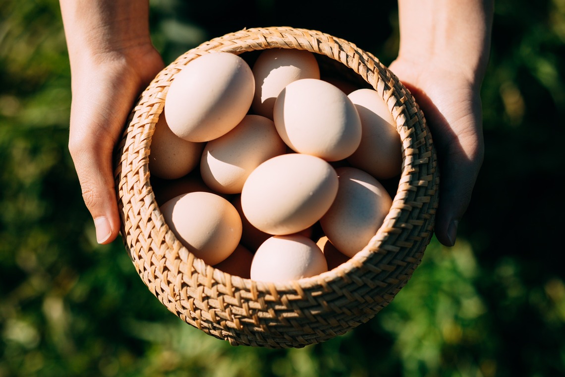 MADOCAが撮影した写真のアルバム「」