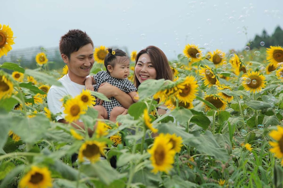 理 S PHOTOが撮影した「鼻高展望ひまわり畑」の写真