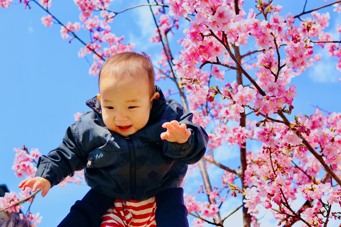 合同会社co-fitが撮影した「portfolio01」の写真