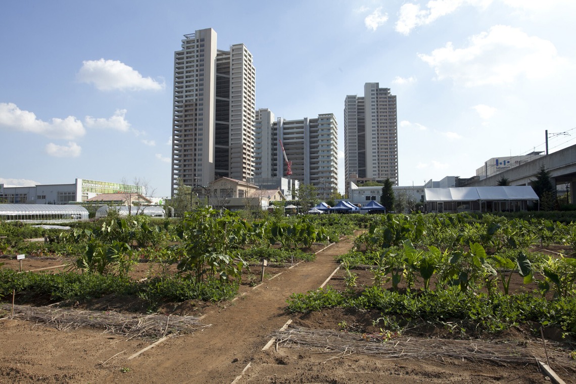 柳　あゆみが撮影した写真のアルバム「竣工写真　建築写真」