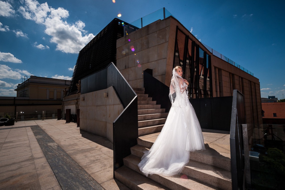 Wedding Photography Dubaiが撮影した「ドバイで???カメ」の写真