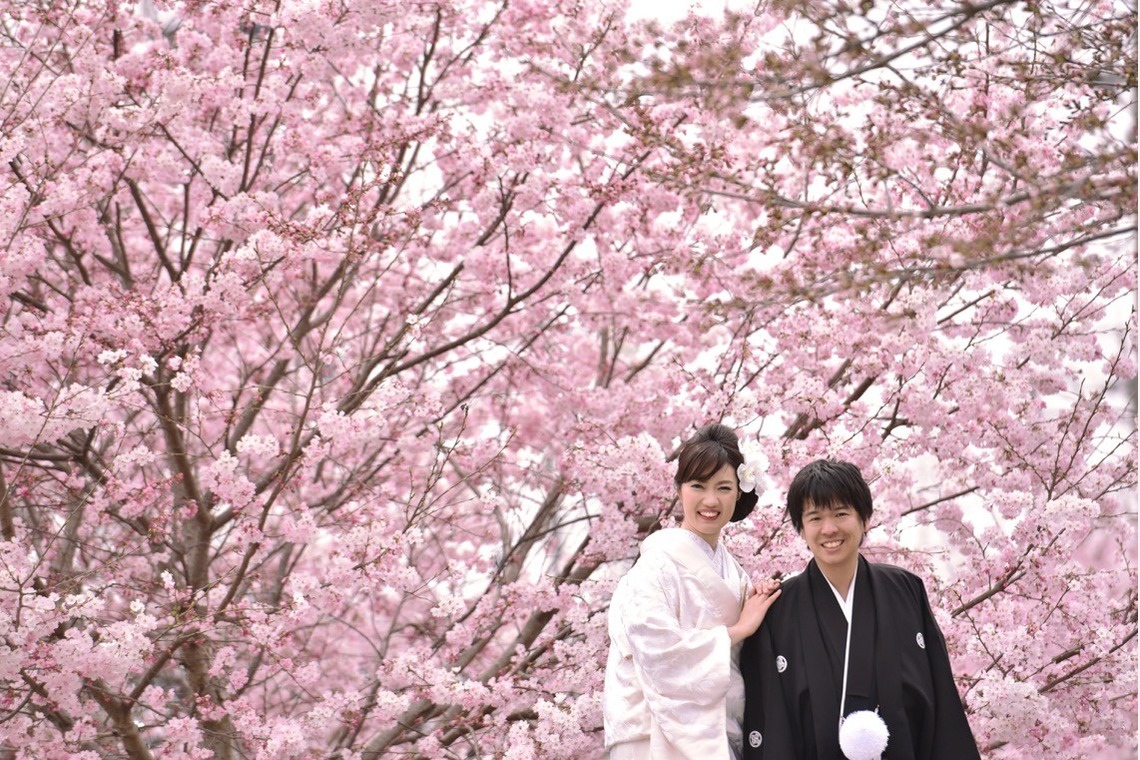 キキフォトワークスが撮影した「桜の季節の和装前撮り」の写真