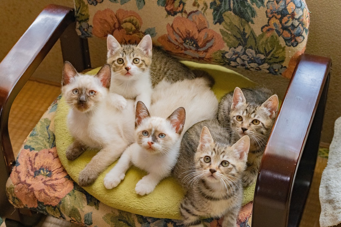 blankが撮影した写真のアルバム「商品撮影」