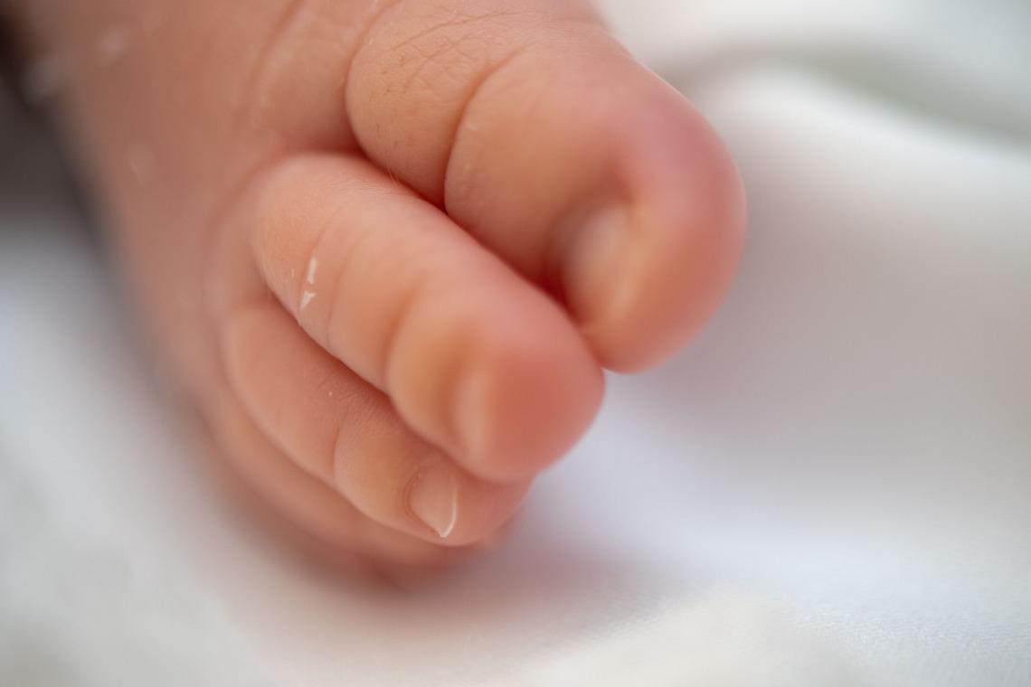 岩坪眞一郎が撮影した写真のアルバム「ニューボーンフォト」