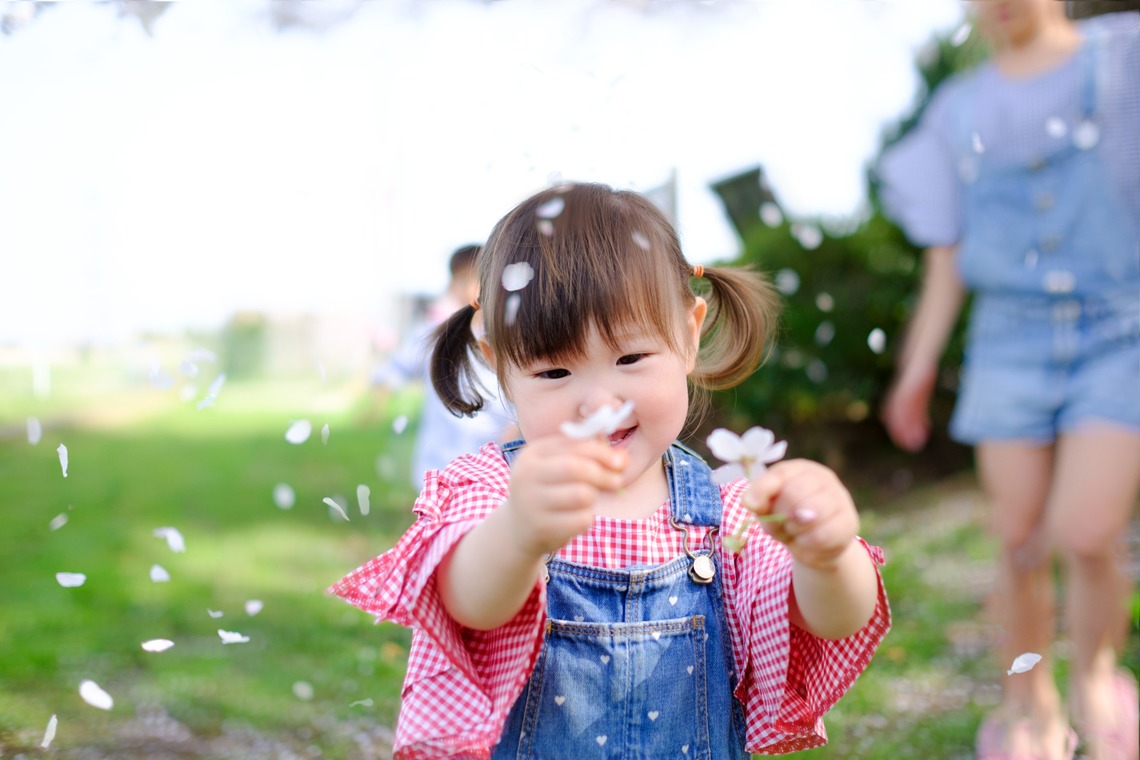 高野和希が撮影した「桜での家族フォト」の写真