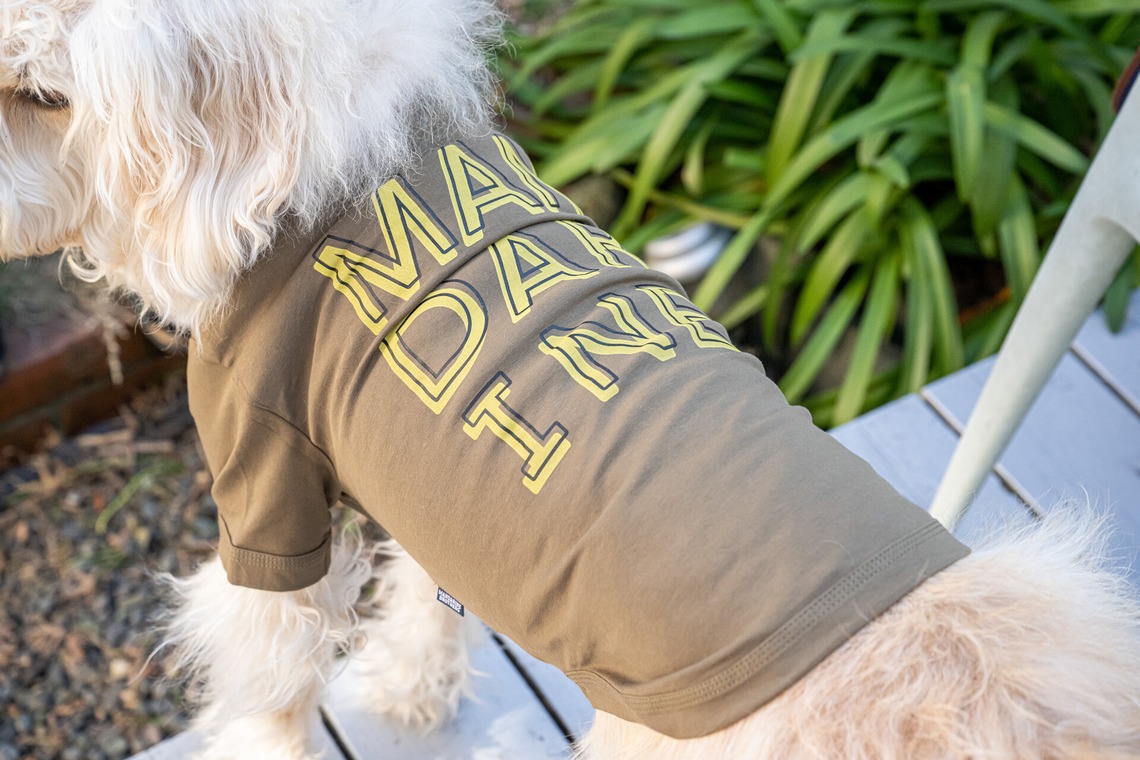 吉田佳央が撮影した「DOG SHOOTING」の写真