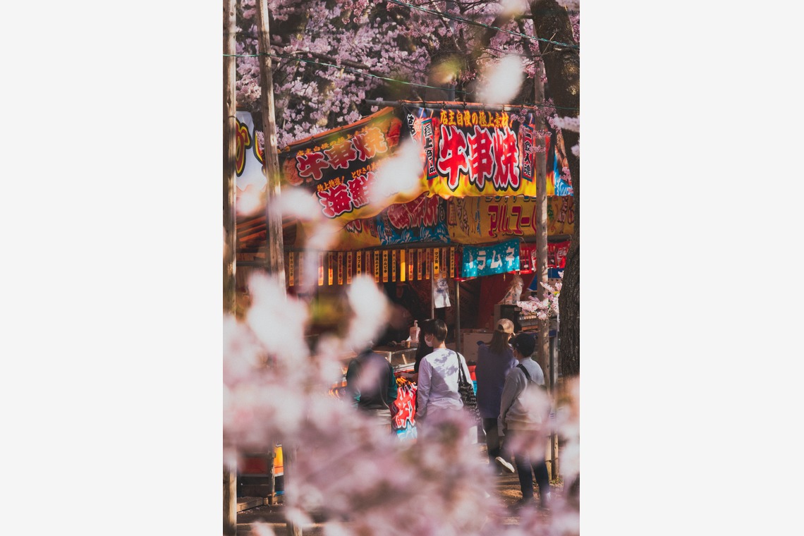内藤駿介が撮影した「風景」の写真