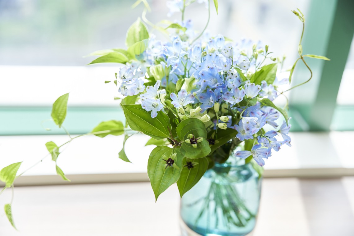 吉本悠哉が撮影した写真のアルバム「歯医者」