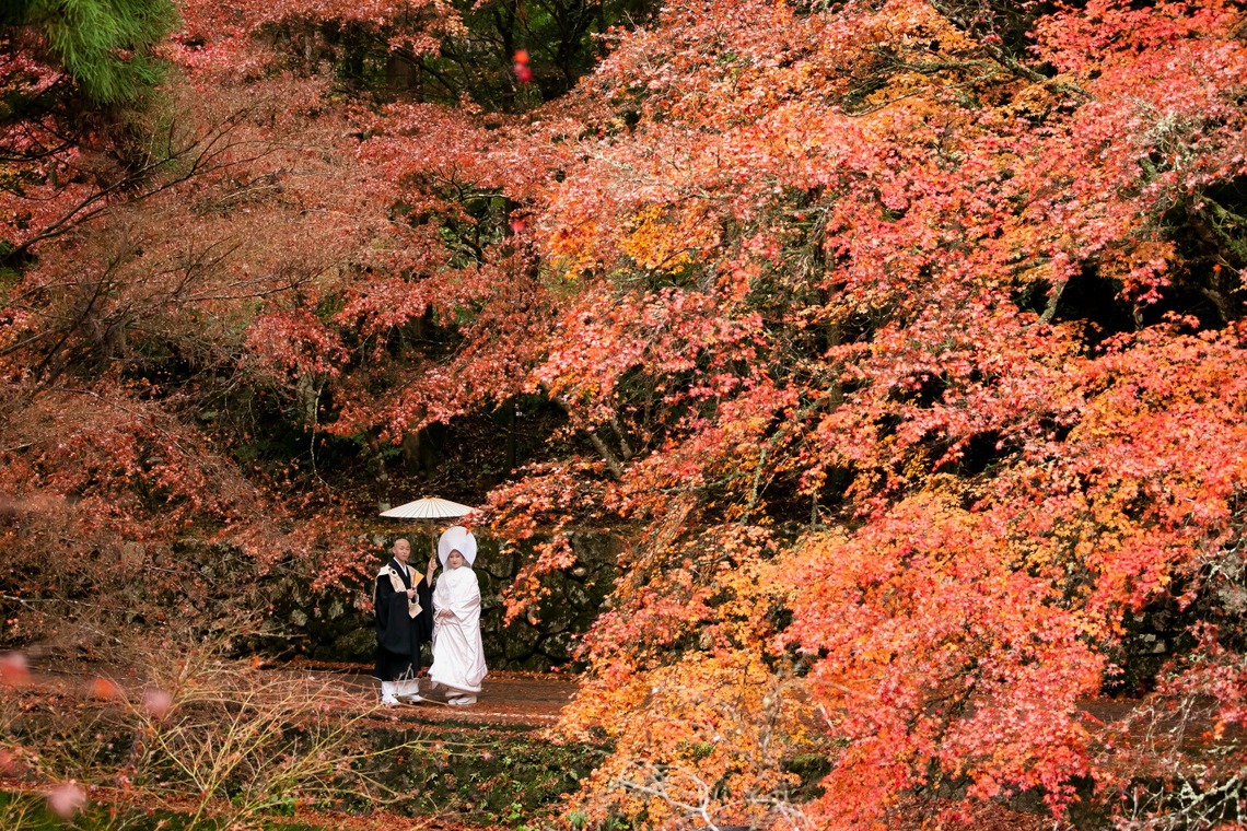 樋上孝典が撮影した写真のアルバム「ウエディングドレス+和装」