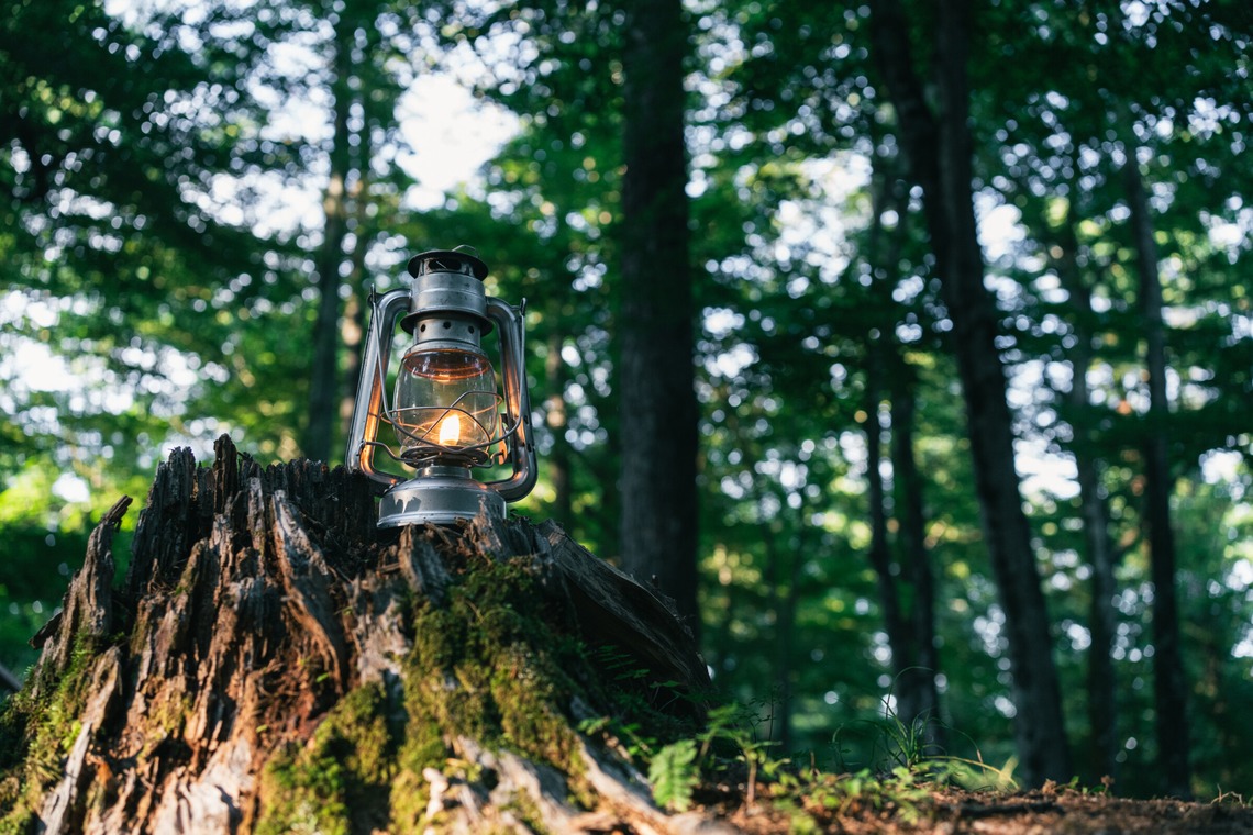 Aya Petite Photographyが撮影した写真のアルバム「ロケーション撮影（キャンプ場）」