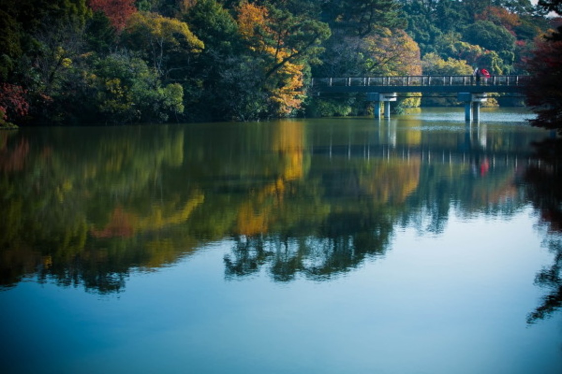 ピュアアーティス(小島 靖雄)が撮影した「その他フォト」の写真