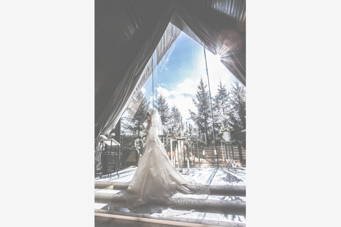 Synesthesia シナスタジア (松浦 翔平)が撮影した写真のアルバム「当日写真」