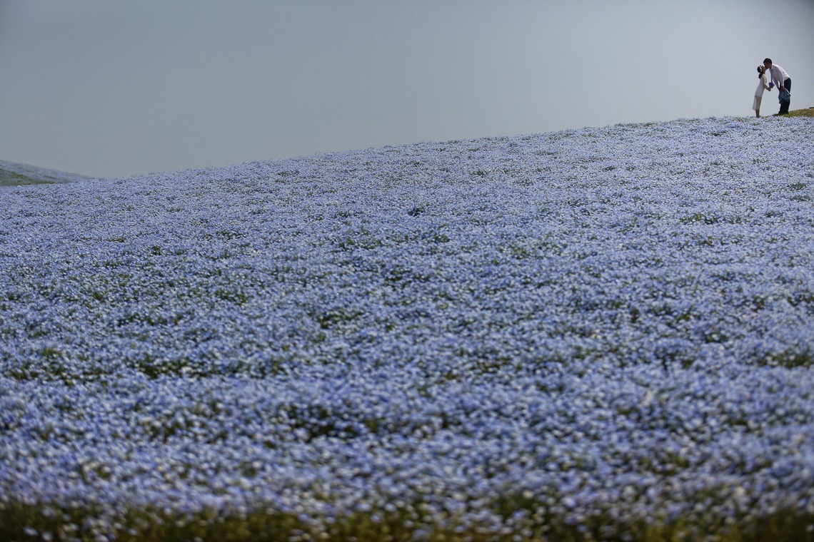 PHOTO STUDIO LUXE-スタジオリュクス-	