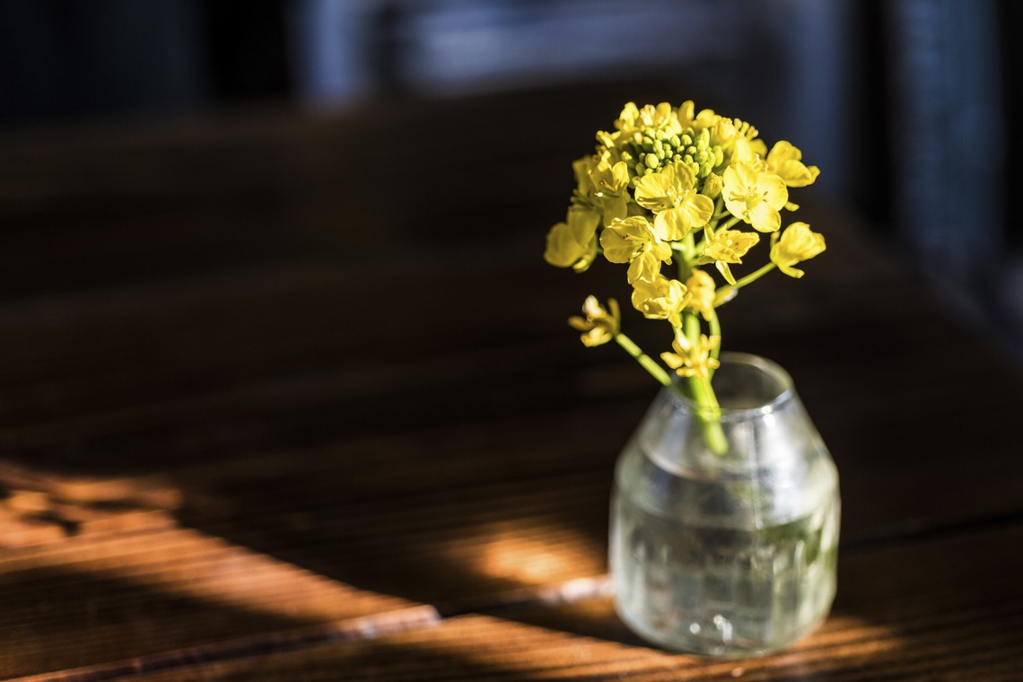 リトルダイナソーが撮影した写真のアルバム「商品出張撮影」