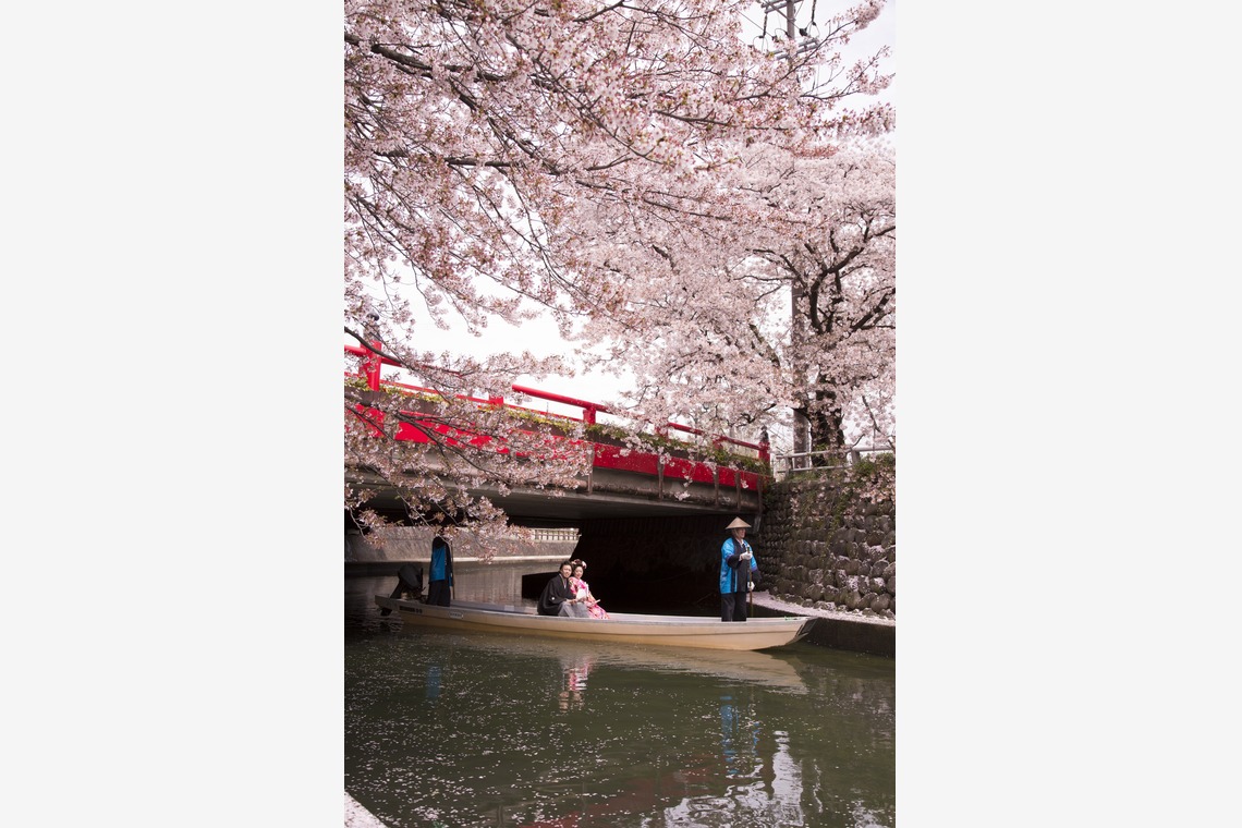 STUDIO NOUVEAU（スタジオ ヌーボ）が撮影した「ロケーションフォト_京都・岐阜」の写真