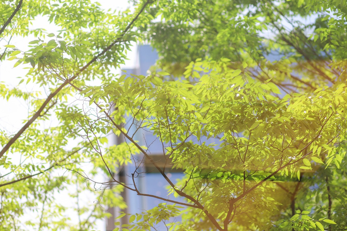 なかがわさとみが撮影した写真のアルバム「ビジネス交流会の写真撮影」