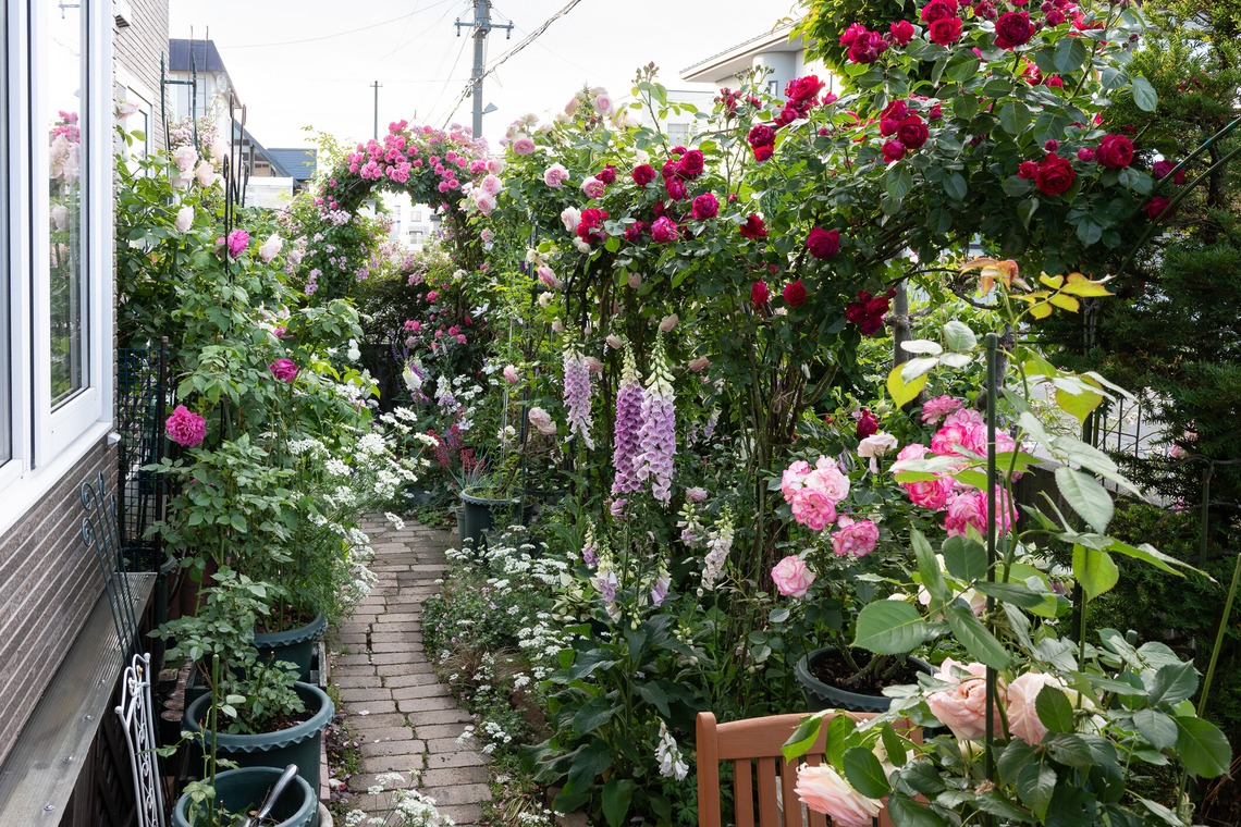 オフィス 芦野が撮影した「番外編（自宅）」の写真
